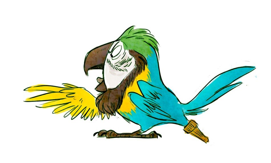 Pirate Parrot drawing