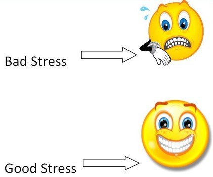 Orange blue Observations Tutorial 2 Stress And Public Speaking