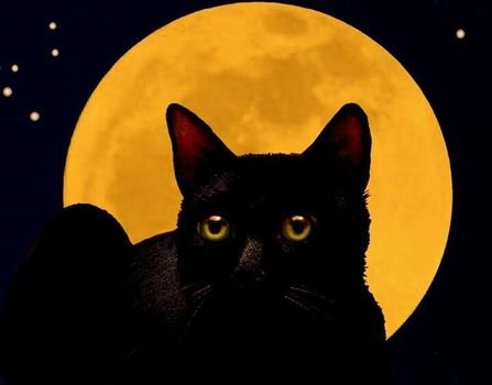 Black Moon
