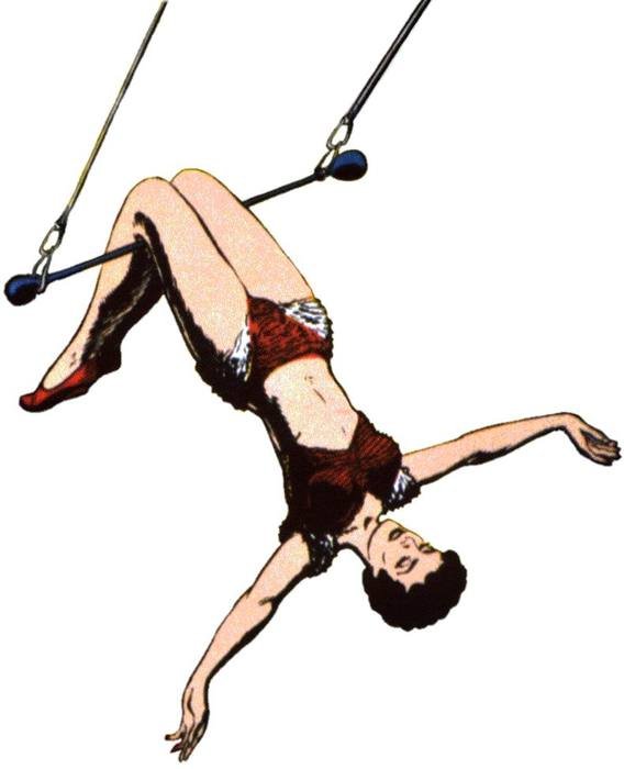 picture of an air gymnast in the circus