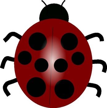 Pink Ladybug At Clkercom Vector Online Royalty N2