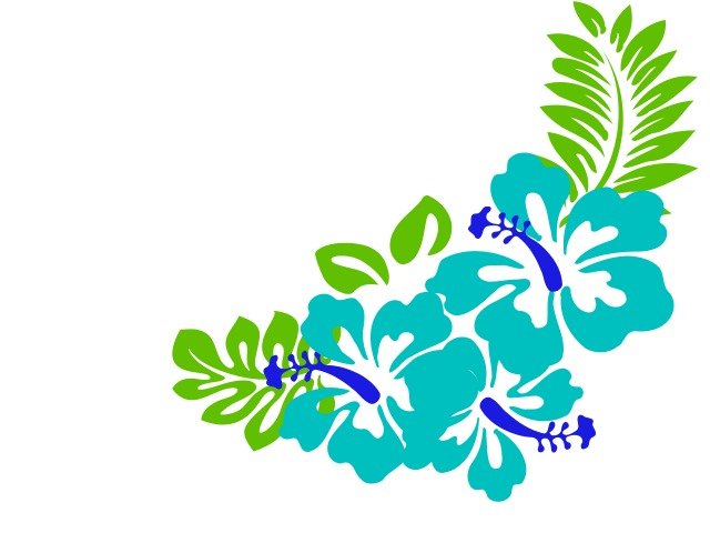 Hawaiian Flower Borders Panda Free Images clipart