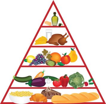Food Pyramid Best