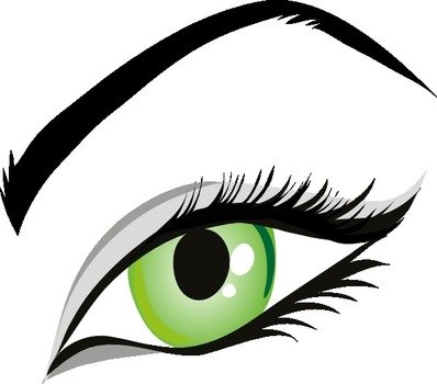 Eye Pictures Panda Free Images