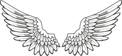 nice Wings drawing
