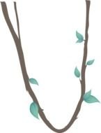 Jungle Vine drawing