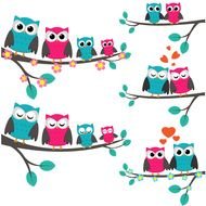 cartoon colorful owls on a branch