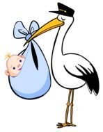 Birth 20clipart Panda Free Images
