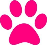 pink Paw as a drawing