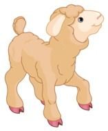 drawn light brown lamb