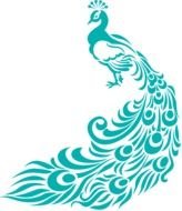 drawn turquoise peacock on a black background