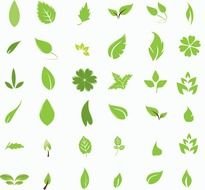 Clipart of the green leves