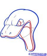 How To Draw A Snake Head Heads Step By Snakes