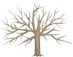 wide bare tree, drawing