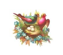 Free Digital Bird Graphic 2 Colorful Birds With 3 Eggs In Nest