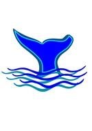 Blue Whale on the wave drawing
