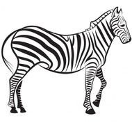 Free Zebra Best
