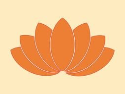 orange Lotus drawing
