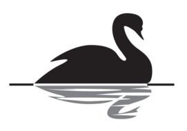 gray silhouette of a swan and its white reflection in the lake