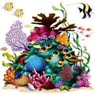 nice Coral Reef drawing