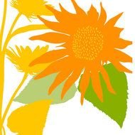 Sunflower Silhouettes Summer Sun Flower Country