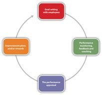 info on colorful pie chart