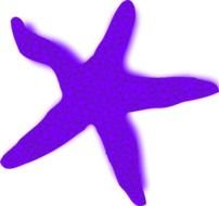 Starfish Orange Vector