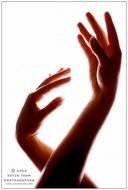 Pictures Of Lovers Holding Hands