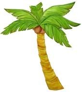 Christmas Palm Tree Sco