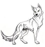 White Wolf By Xxraithexx On Deviantart