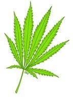 hemp leaf as a picture for clipart