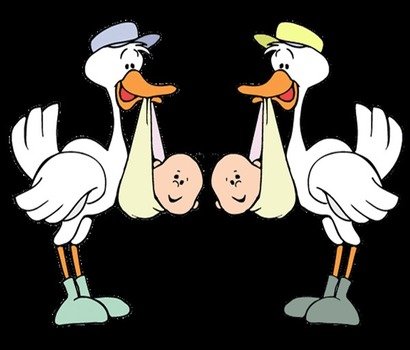 Twin Baby Shower Book Covers