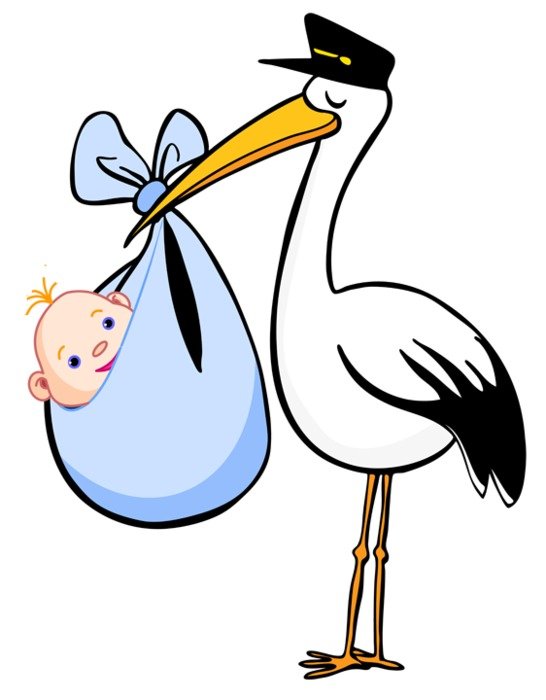 Birth 20clipart Panda Free Images