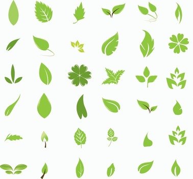 Clipart of the green leves