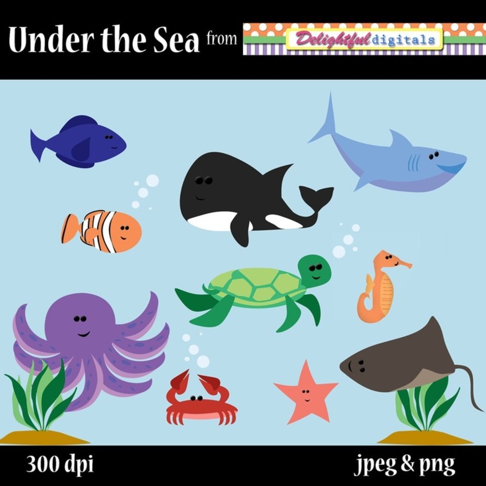 The Sea Sfish drawing