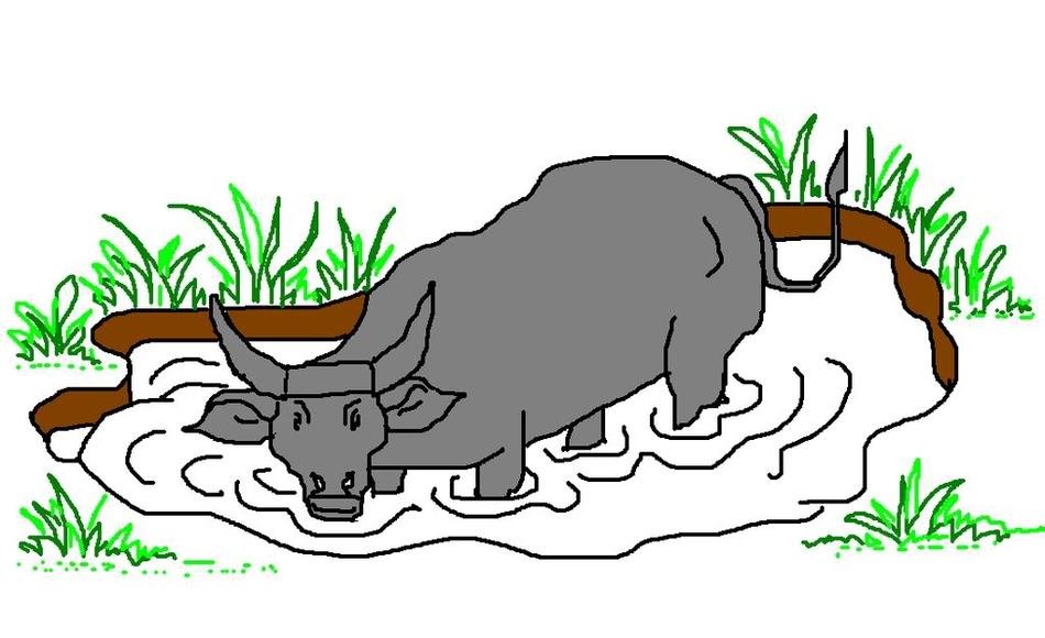cow in pond drawing