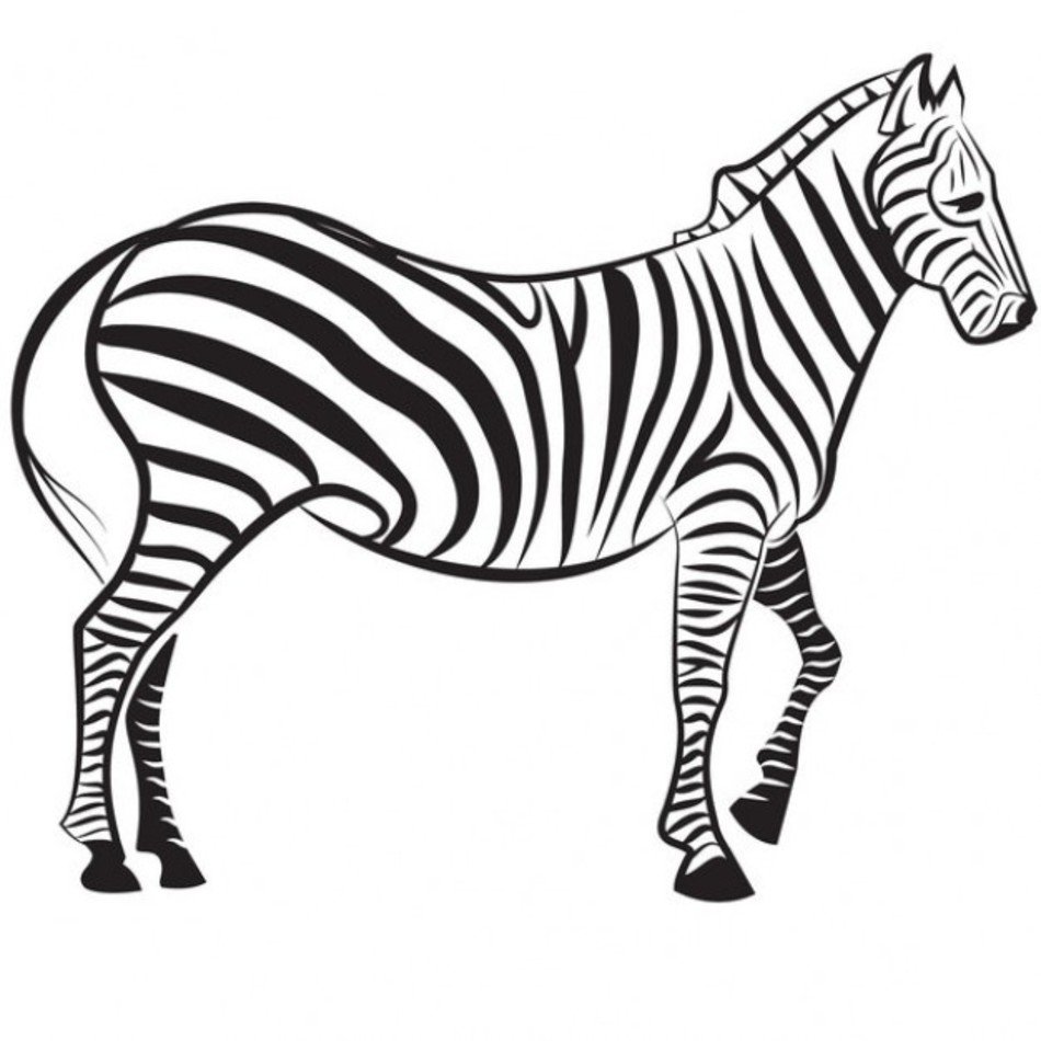 Free Zebra Best