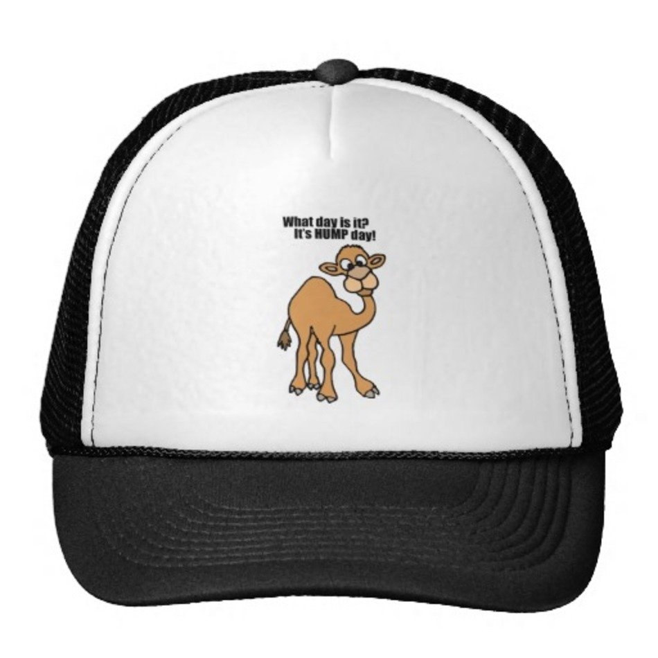 Funny Hump Day Camel Art Trucker Hats Zazzle
