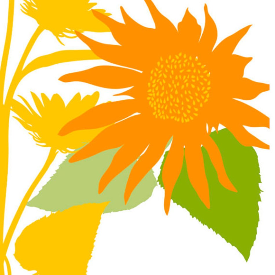 Sunflower Silhouettes Summer Sun Flower Country