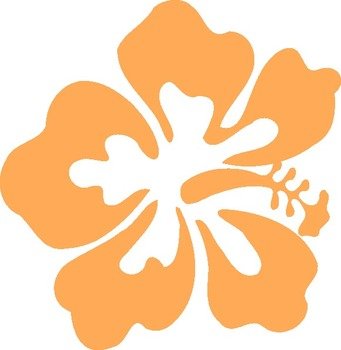 ハワイの州花 ハイビスカスのクリップアート 90種類