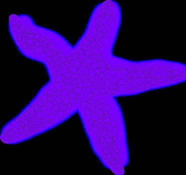 Starfish Orange Vector