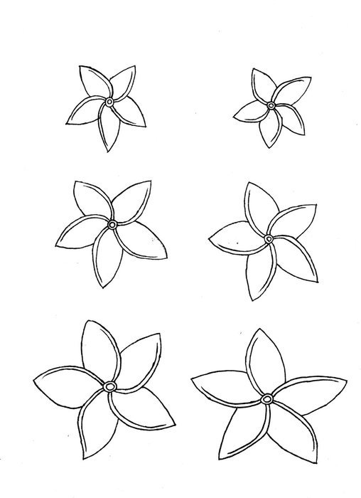 Black and white drawing of the plumeria flowers clipart