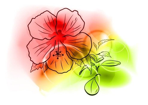 Continue Reading &lsquo;color Flower Vector Illustration&rsquo; &187