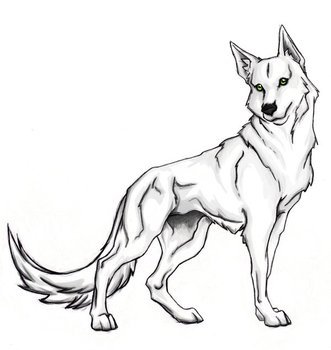 White Wolf By Xxraithexx On Deviantart
