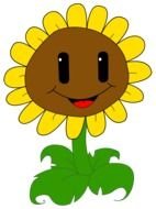 sunflower animated drawing