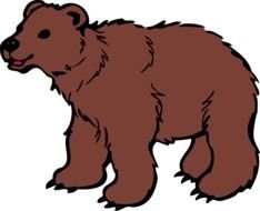 Cute Brown Bear, side view, drawing