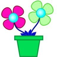 graphic potted flowers