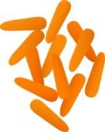 drawing orange carrots