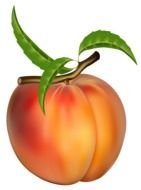 Peach as picture for clipart