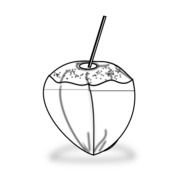 Coconut Black And White drawing